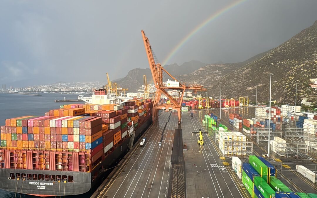 También Hapag Lloyd elige el puerto de Tenerife para su trasbordo internacional